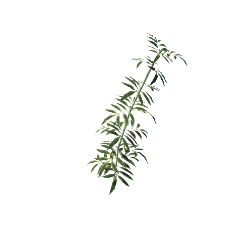 LowPoly Plant A04 (Autorot)